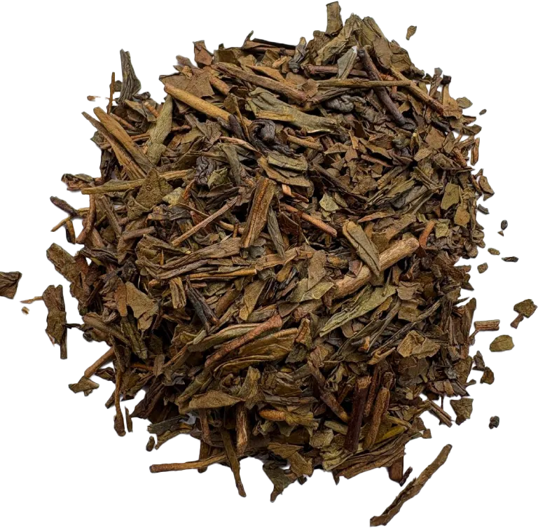 
                  
                    Sencha Bio
                  
                