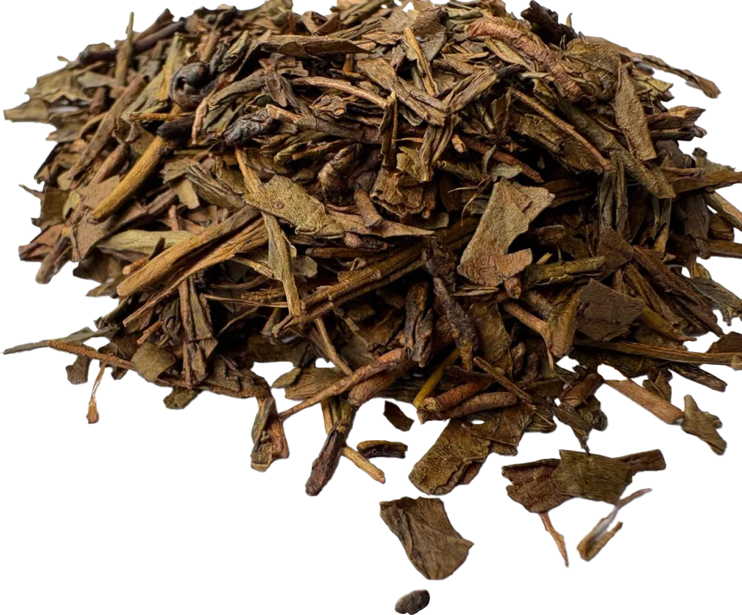 
                  
                    Sencha Bio
                  
                